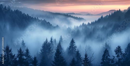 Misty Morning in the Mountains © toomi123