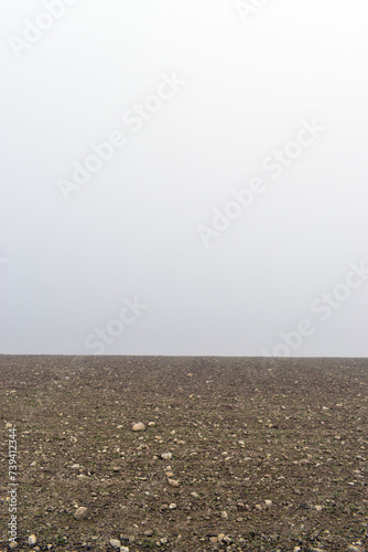 Landscape of a sown field i...