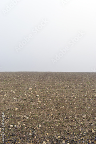 Landscape of a sown field i...