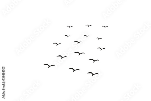 Creative Vector illustration flying flock of birds. Illustration vector flight bird silhouettes collection.