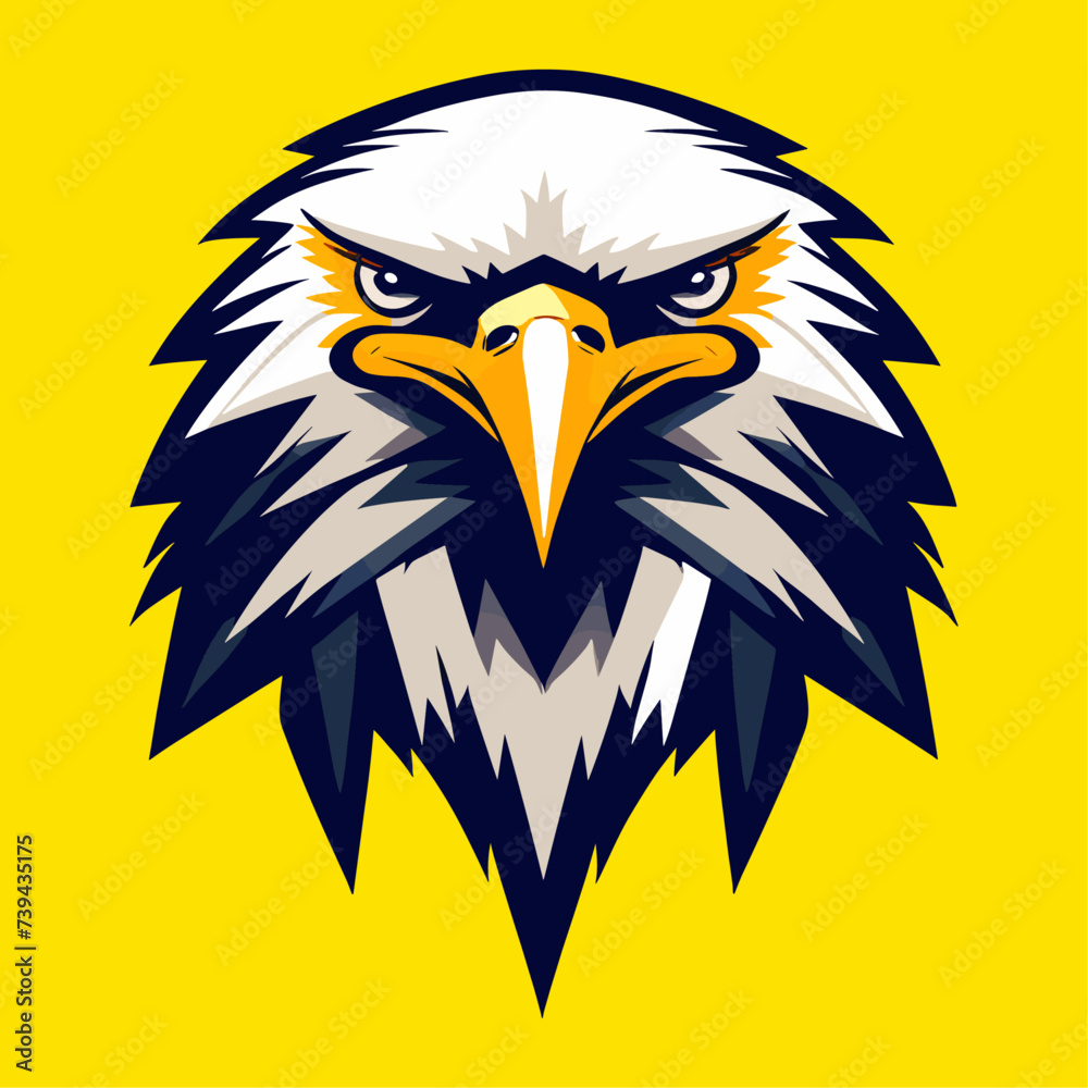 Obraz premium American bald eagle head