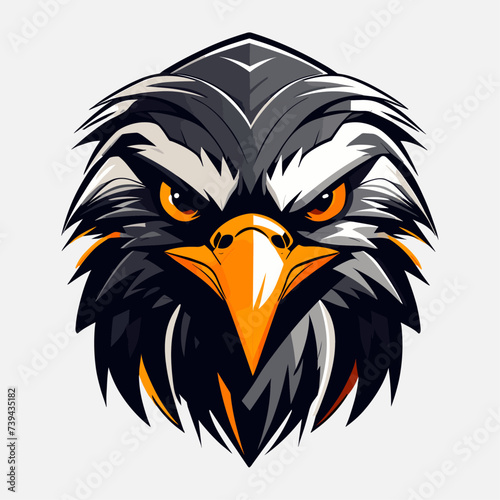 sharp eagle head vector illustration