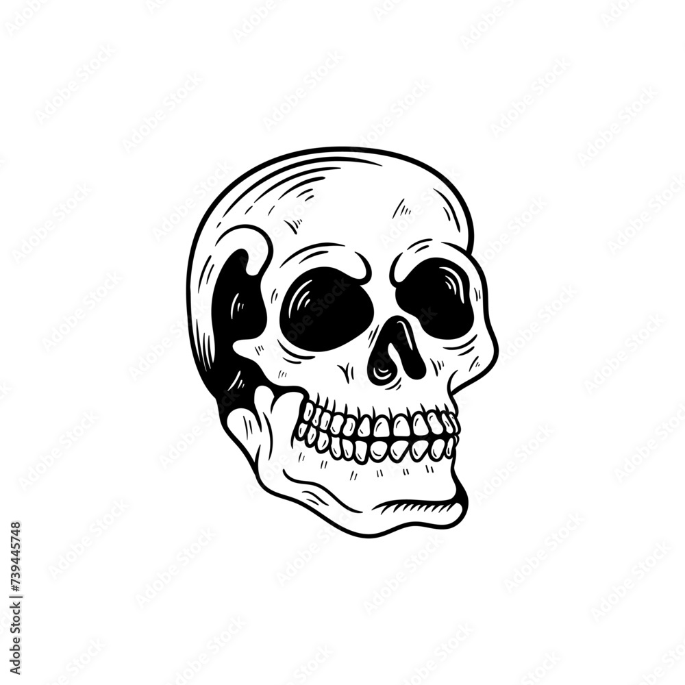 Fototapeta premium Monochrome illustration of skull. On white background