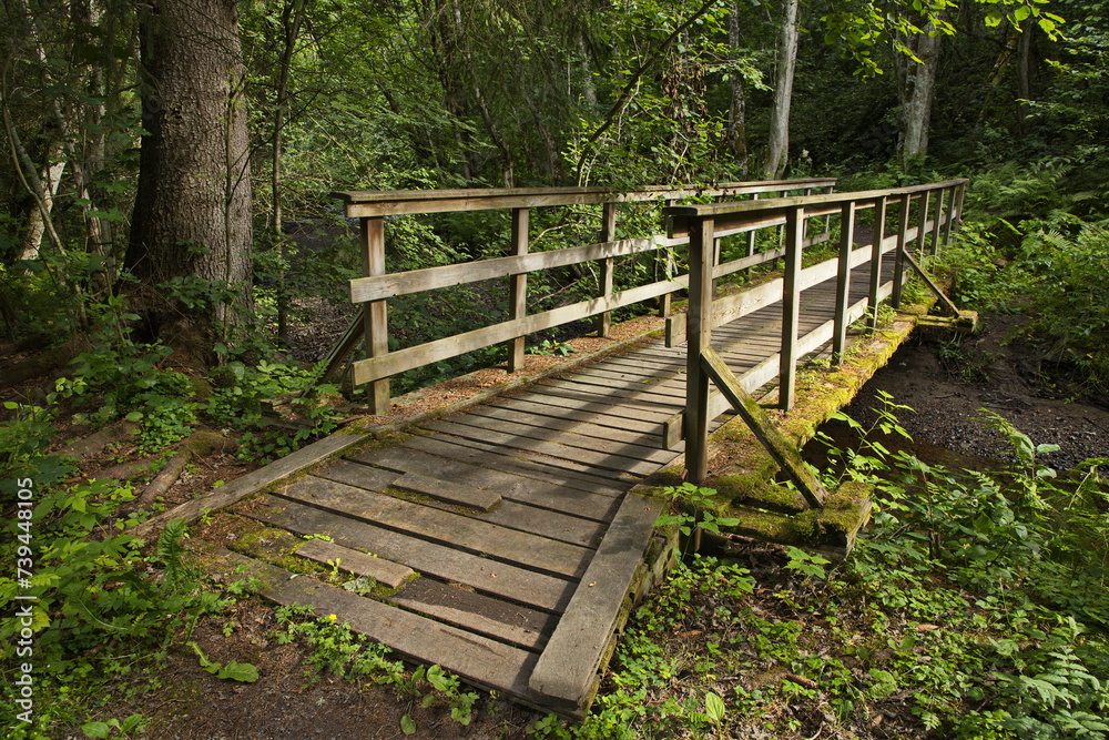 Wooden footbridge on hiking track at Egge Museum in Steinkjer in Norway, Europe
