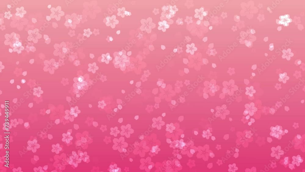 Abstract floral motion background with animated sakura flowers and cherry blossom petals falling against peach pink backdrop. Tender pastel color video animation for asian or springtime concept. Abstract floral motion background with animated sakura flowers and cherry blossom petals falling against peach pink backdrop. Tender pastel color video animation for asian or springtime concept.