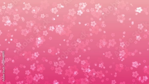 Abstract floral motion background with animated sakura flowers and cherry blossom petals falling against peach pink backdrop. Tender pastel color video animation for asian or springtime concept.