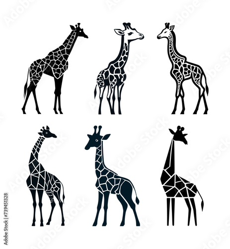 Set of silhouettes Giraffes, hoofed wild animal collection isolated in white background 