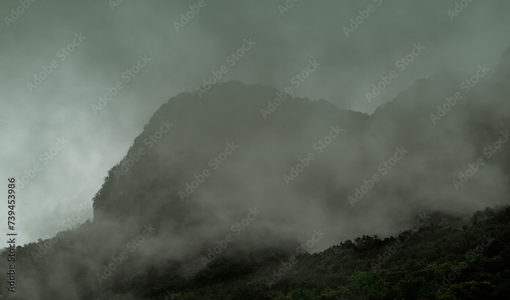 Fototapeta premium fog in the mountains