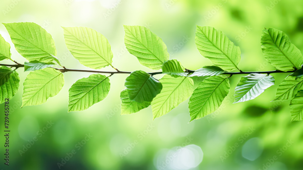 Fresh green tree leaves form a vibrant frame, creating a natural and refreshing background that brings a touch of nature to any design or project. Fresh green tree leaves form a vibrant frame, creating a natural and refreshing background that brings a touch of nature to any design or project.