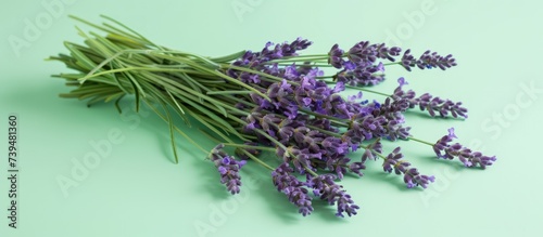 Aromatherapy purple lavender bouquet flower isolated on mint green background. AI generated image