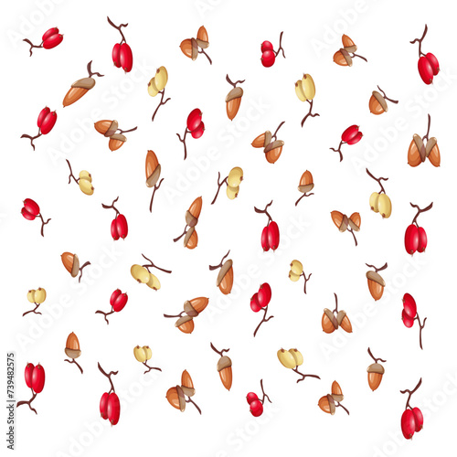 Autumn composition with acorns and berries. Cartoon acorns on a branch and rose hips. Oak nuts on a white background, oak fruits, autumn nuts, ripe and unripe rose hips, oak seeds. Forest motif.