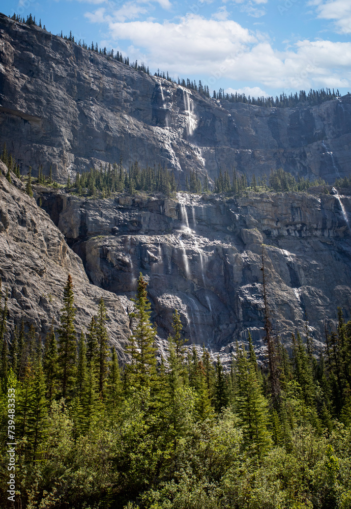Weeping wall waterfalls off the Icefields Parkway in Banff National Park, Alberta, Canada.