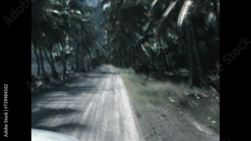 Driving on Bora Bora 1971 - First person view from a car driving on a plam tree lined road on Bora Bora, in the south Pacific, in 1971. photo