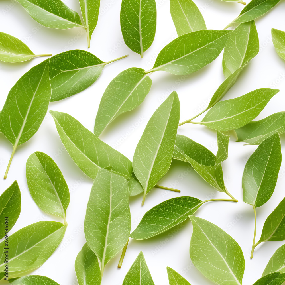 Floral seamless pattern with green leaves on a white background. Floral seamless pattern with green leaves on a white background.