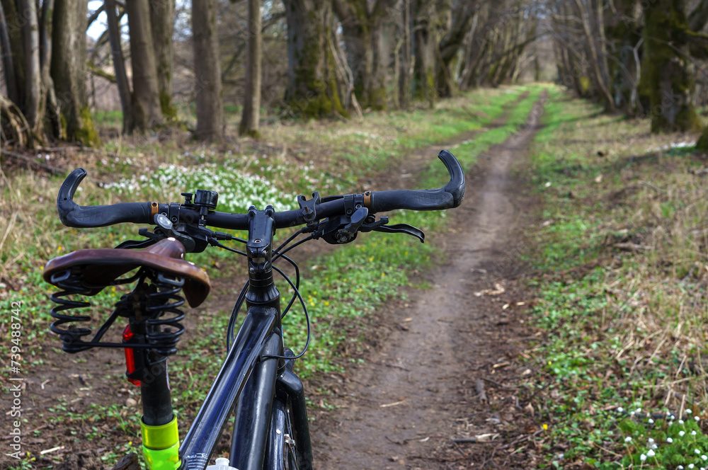 Riding a bicycle on a forest trail. Black bicycle in the forest. Riding a bicycle on a forest trail. Black bicycle in the forest.