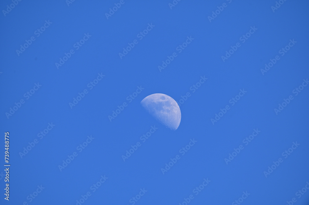 Fototapeta premium Simple moon during the day, clear sky