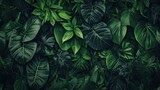 dark green tropical leaves