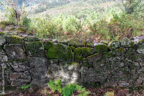 City Wall, Stone wall  of amazing Archaeological site of Citania de Briteiros flanked by trees. Guimarães, Portugal photo