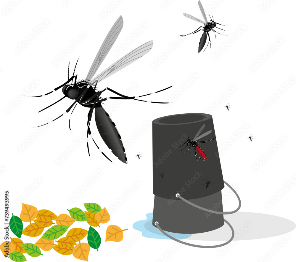 Combatendo o mosquito Aedes aegypti. O inseto se reproduz em água parada. Vire os baldes ao contrário