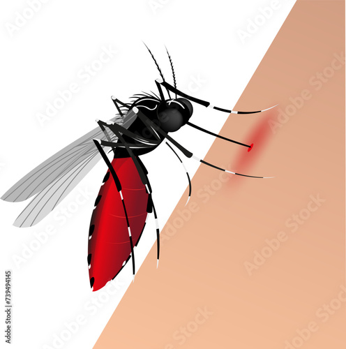 O que é a dengue? Doença febril grave causada por um arbovírus, transmitido por picada de insetos, especialmente os mosquitos aedes aegypti