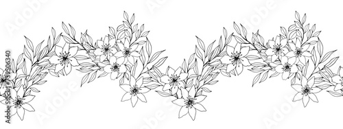 vector seamless banner with flower, leaves and branch. Elegant frame for decoration. ink monochrome botanical illustration for backgrounds. template for wedding cards, polygraphy, logo, web sites