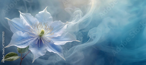 Makro kwiat, niebieski klematis. Tapeta, wiosenna abstrakcja. Niebieskie tło z miejscem na kopiowanie