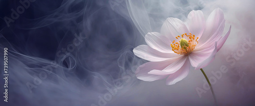 Panel kuchenny z motywem Różowy kwiat, abstrakcyjna tapeta. Puste miejsce, kwiatowe tło