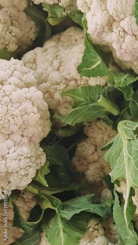 Close-up on cauliflower, food, healthy, vegetable for sale. Fresh cauliflower, food, healthy, vegetable harvest at market. Organic cauliflower, food, healthy, vegetable display, farmer's pride