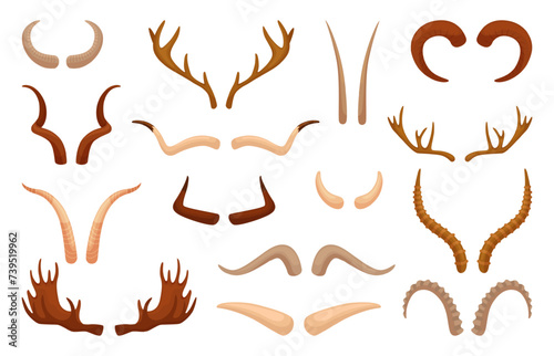 Animal antlers. Neoteric vector set animal antlers. Deer and ram horns, isolated horn of moose, reindeer, antelope. Hunters trophy of wildlife animal world, neoteric vector set