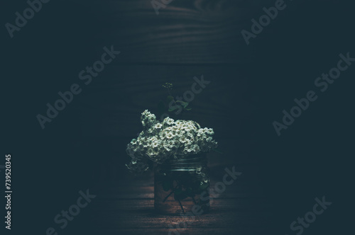 A bouquet of spring flowers in a vase. Minimalism. On a dark background.