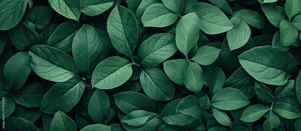 Green leaves pattern background Green leaves pattern background