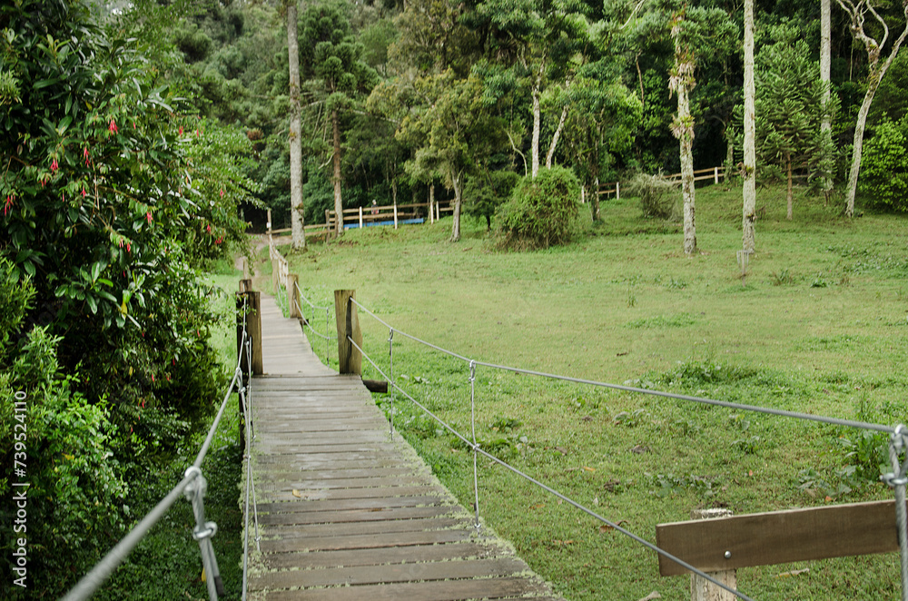 Fototapeta premium Campos do Jordão is a municipality in Serra da Mantiqueira, Brazil