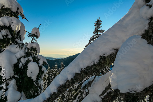 Idyllic forest with panoramic view of snow capped mountain peaks of Kor Alps  Lavanttal Alps  Carinthia Styria  Austria. Winter wonderland in Austrian Alps. Tranquil serene atmosphere in remote nature