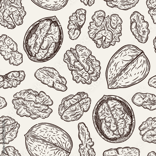 Vector walnut hand-drawn seamless pattern or background. Walnut kernels and shells
