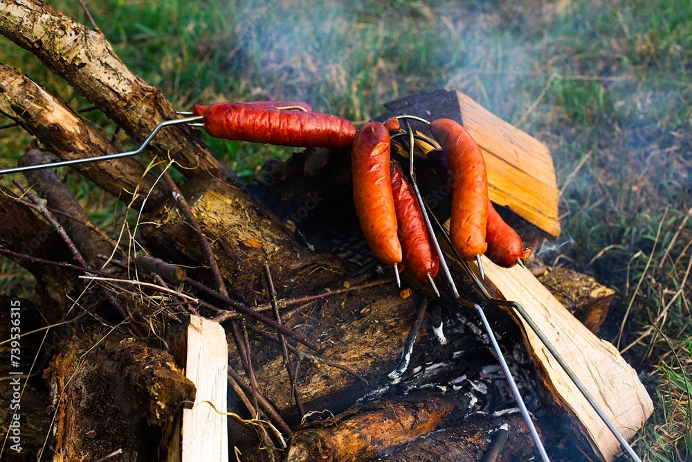 Traditional-style roasted sausages over a grassy bonfire with wood embers, emitting white smoke. Sausages exhibit a beautiful golden-brown color. Traditional-style roasted sausages over a grassy bonfire with wood embers, emitting white smoke. Sausages exhibit a beautiful golden-brown color.