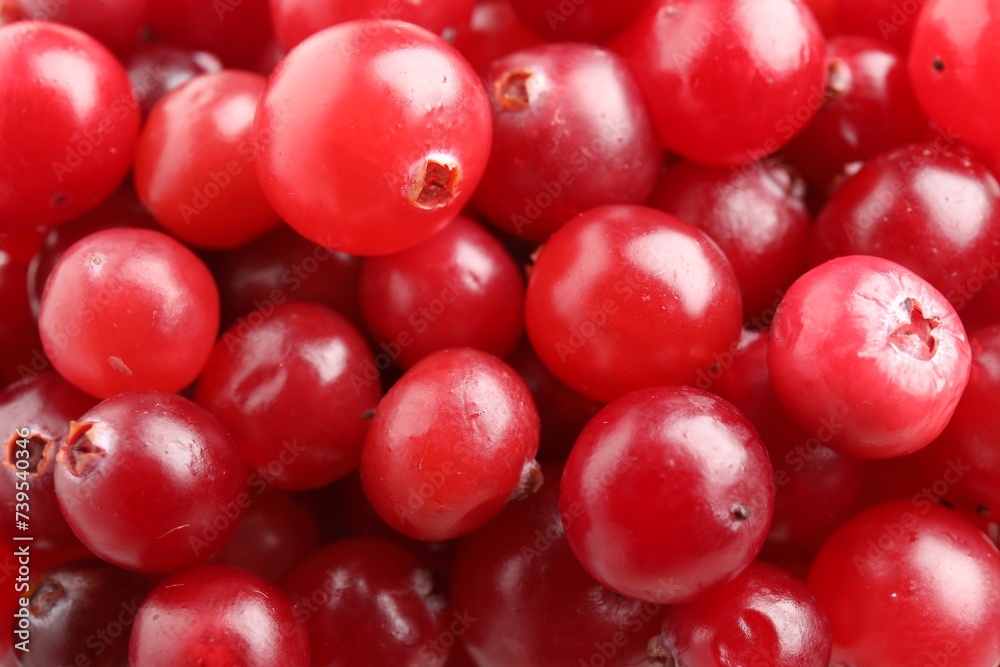 Red ripe cranberries as background, top view Red ripe cranberries as background, top view