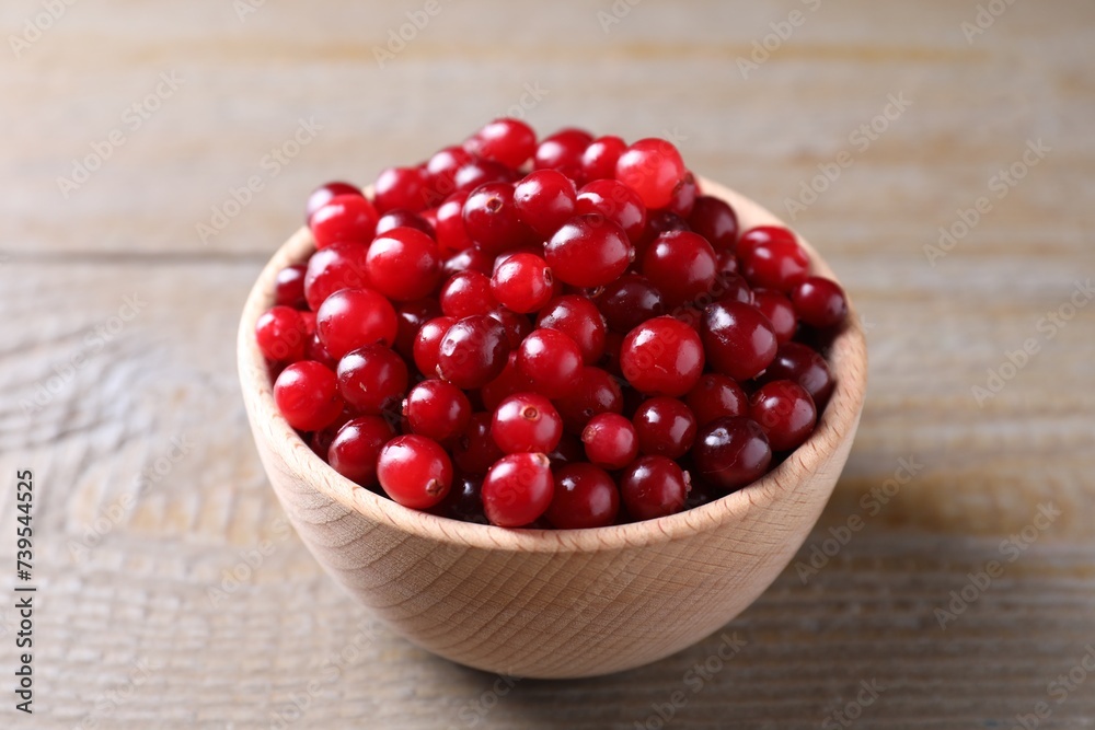 Fresh ripe cranberries in bowl on wooden table, closeup Fresh ripe cranberries in bowl on wooden table, closeup