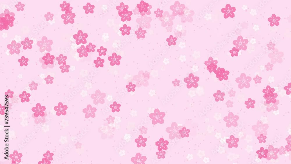 Abstract floral pattern motion background with animated pink sakura flowers cherry blossoms falling against pale rose backdrop. Elegant pastel color animation for japanese or springtime design. Abstract floral pattern motion background with animated pink sakura flowers cherry blossoms falling against pale rose backdrop. Elegant pastel color animation for japanese or springtime design.