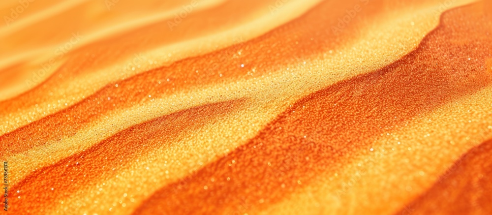 Close up of mesmerizing sand dune in the desert under the bright sun Close up of mesmerizing sand dune in the desert under the bright sun