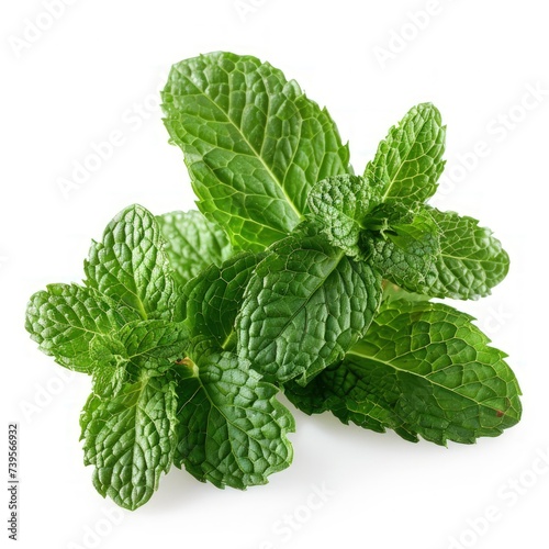 Fresh detailed green mint leaves isolated on white background. AI generated image