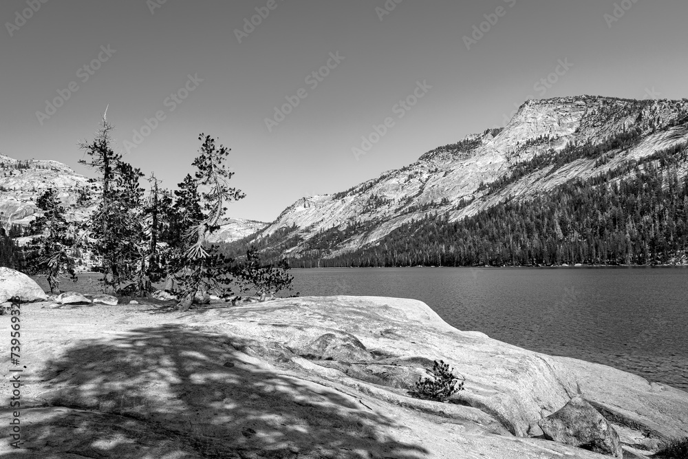 Classic black and white landscape of mountains, canyon, evergreen forest and lake in the summer environment of the Sierra Nevada Mountains in Yosemite National Park California, USA 