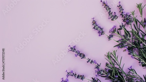 Lavender Color Palette Border with Modern Design AI Generated