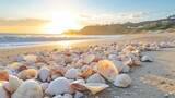 Seashells scattered on beach at sunset