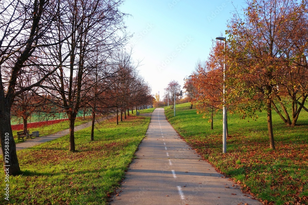 Naklejka premium Photo prepared for the calendar mid-November - bicycle road on a natural background beautiful colorful landscape with fallen leaves from trees to fields