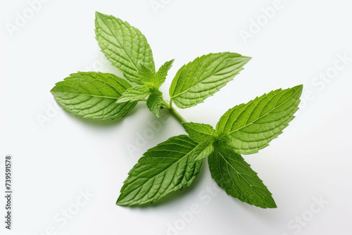 2 fresh mint leaves on a white background