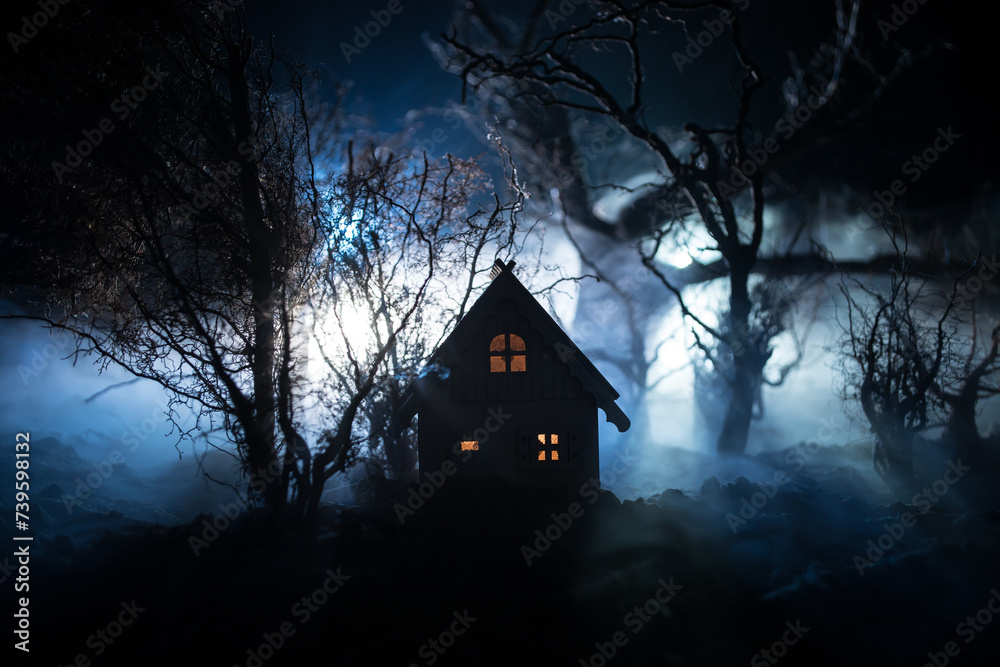 Silhouette of person standing in the dark forest with light. Horror halloween concept. Silhouette of person standing in the dark forest with light. Horror halloween concept.