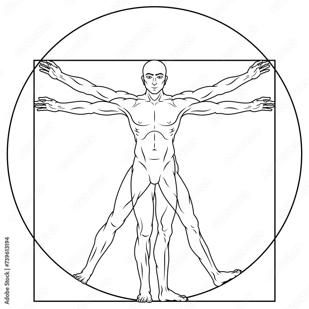 Fototapeta premium Vitruvian man human body proportion
