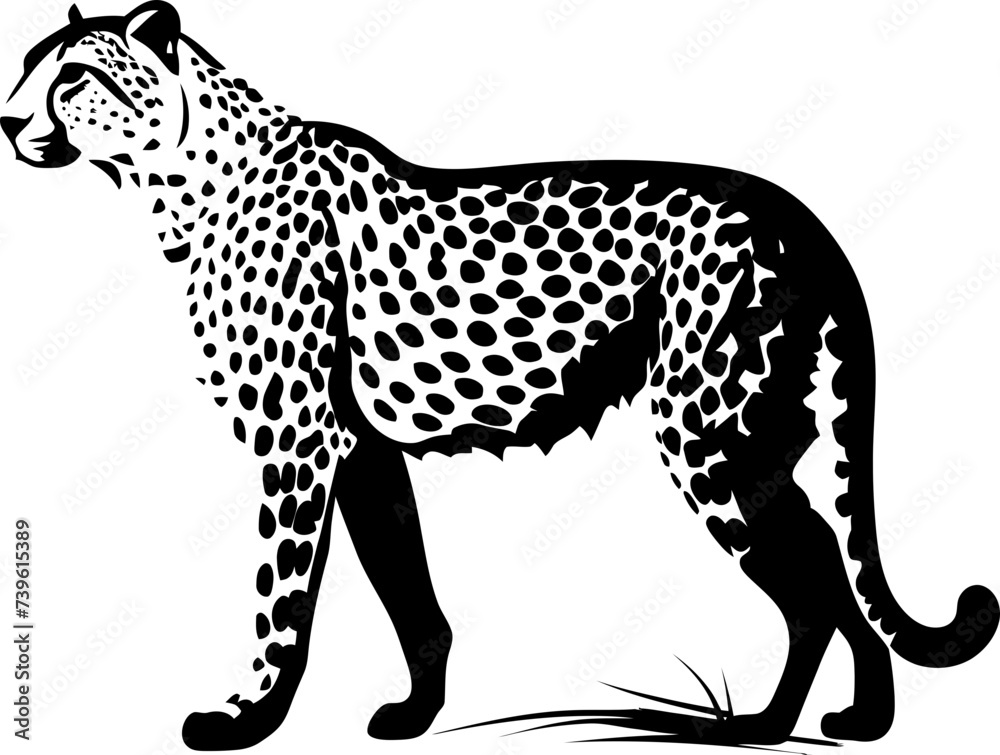 Fototapeta premium Handdrawn cheetah drawing