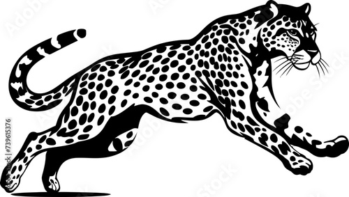 Handdrawn cheetah drawing 