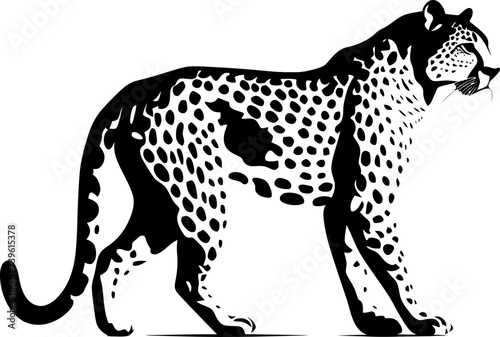 Handdrawn cheetah drawing 